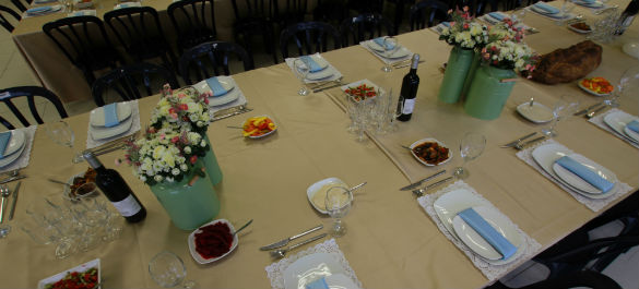IMG 7267