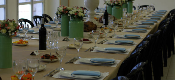 IMG 7287